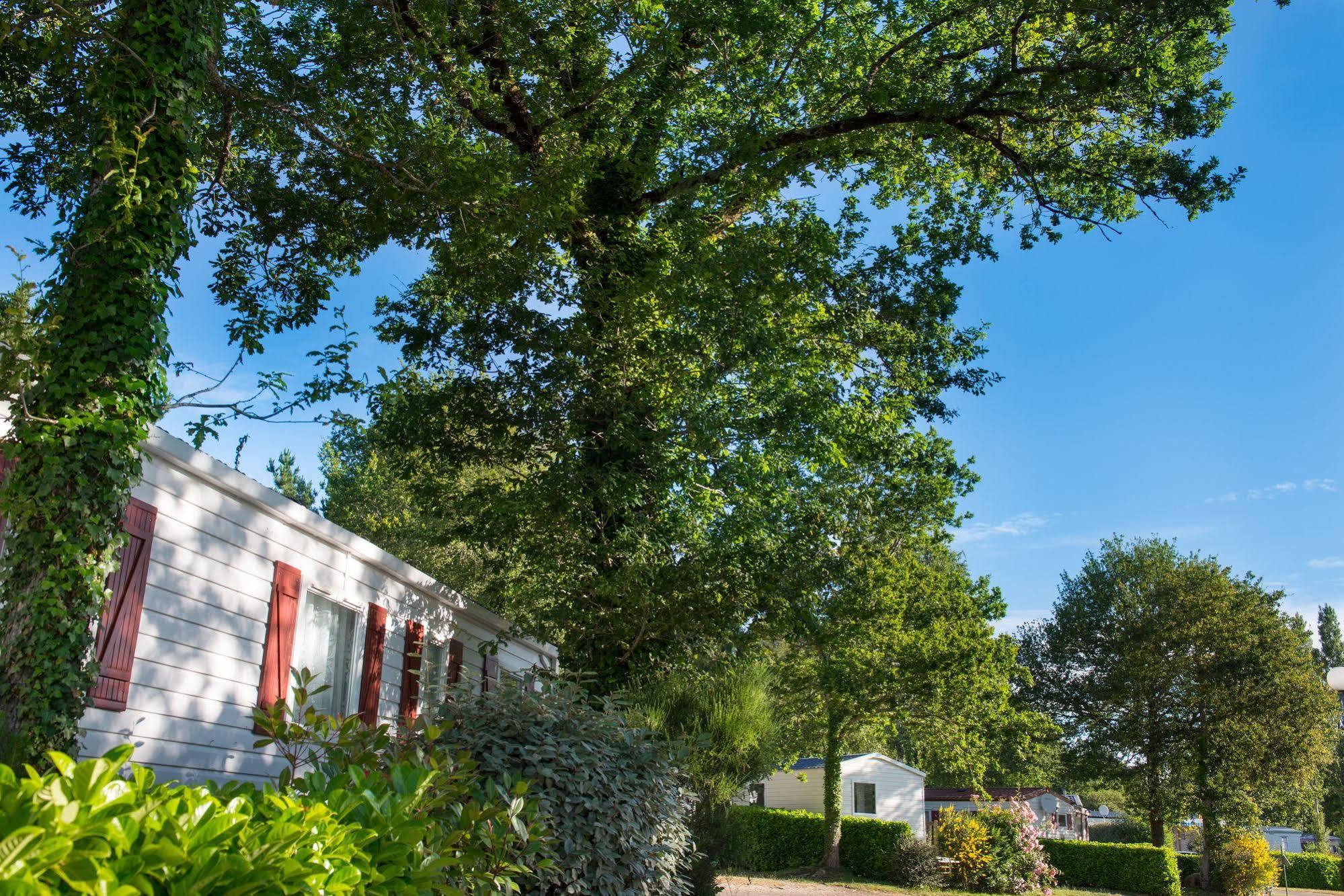 Camping Officiel Siblu Domaine De Kerlann Pont-Aven Kültér fotó
